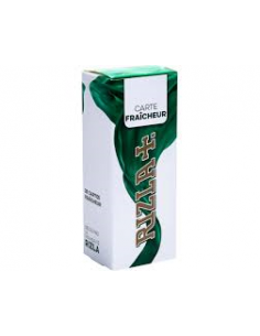 MENTHOL CARD RIZLA PAR 25